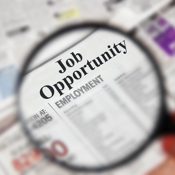 Job Opening-2026-04-28